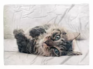 Sinus Art Handtücher »Handtuch Strandhandtuch Saunatuch Kuscheldecke mit Tiermotiv Katze« (1-St), Handtuch